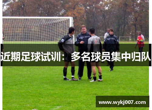 近期足球试训：多名球员集中归队