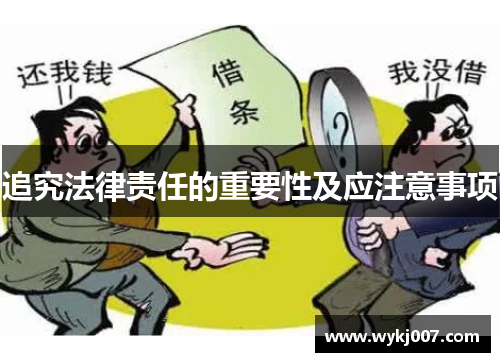 追究法律责任的重要性及应注意事项